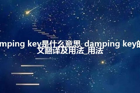 damping key是什么意思_damping key的中文翻译及用法_用法