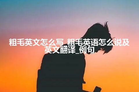 粗毛英文怎么写_粗毛英语怎么说及英文翻译_例句