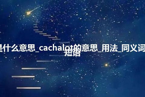 cachalot是什么意思_cachalot的意思_用法_同义词_例句_英语短语