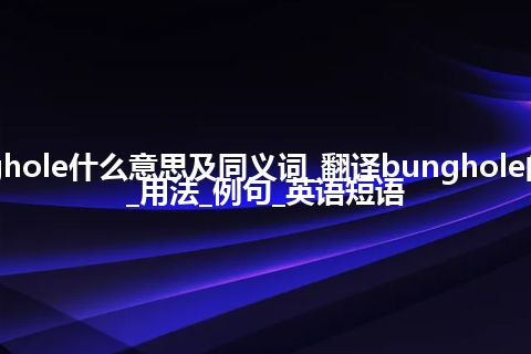 bunghole什么意思及同义词_翻译bunghole的意思_用法_例句_英语短语