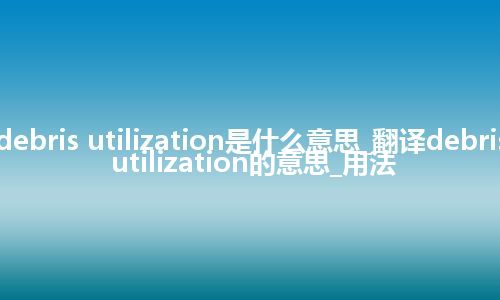 debris utilization是什么意思_翻译debris utilization的意思_用法