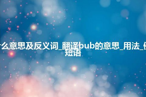 bub是什么意思及反义词_翻译bub的意思_用法_例句_英语短语