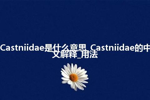 Castniidae是什么意思_Castniidae的中文解释_用法