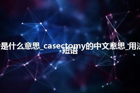 casectomy是什么意思_casectomy的中文意思_用法_例句_英语短语