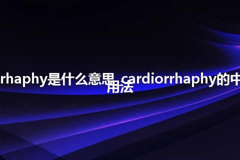 cardiorrhaphy是什么意思_cardiorrhaphy的中文意思_用法