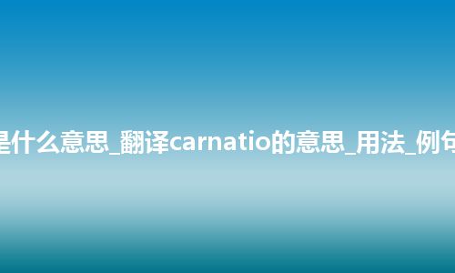 carnatio是什么意思_翻译carnatio的意思_用法_例句_英语短语