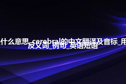 cerebral是什么意思_cerebral的中文翻译及音标_用法_同义词_反义词_例句_英语短语