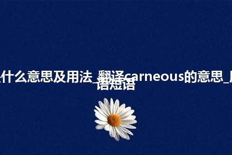 carneous是什么意思及用法_翻译carneous的意思_用法_例句_英语短语