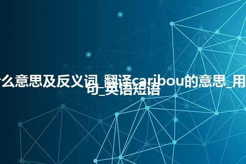 caribou是什么意思及反义词_翻译caribou的意思_用法_同义词_例句_英语短语