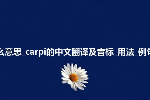 carpi是什么意思_carpi的中文翻译及音标_用法_例句_英语短语