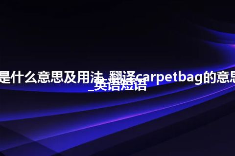 carpetbag是什么意思及用法_翻译carpetbag的意思_用法_例句_英语短语