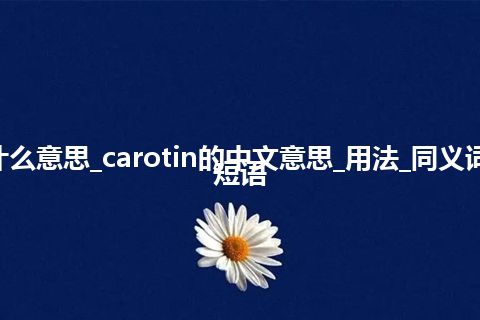 carotin是什么意思_carotin的中文意思_用法_同义词_例句_英语短语