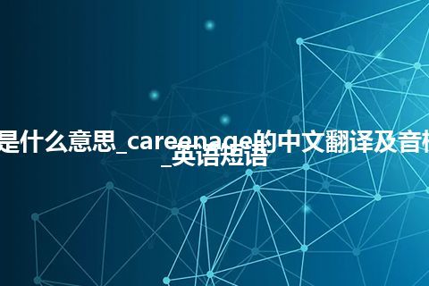 careenage是什么意思_careenage的中文翻译及音标_用法_例句_英语短语