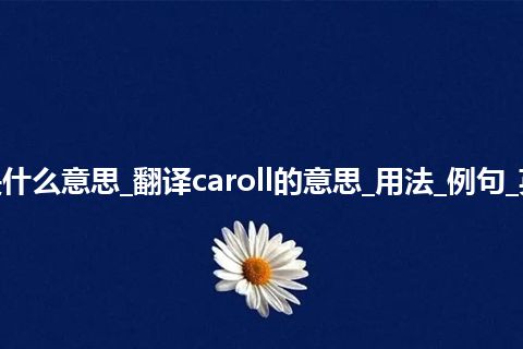 caroll是什么意思_翻译caroll的意思_用法_例句_英语短语