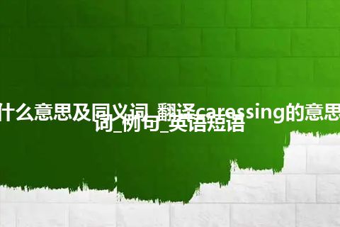 caressing什么意思及同义词_翻译caressing的意思_用法_同义词_例句_英语短语