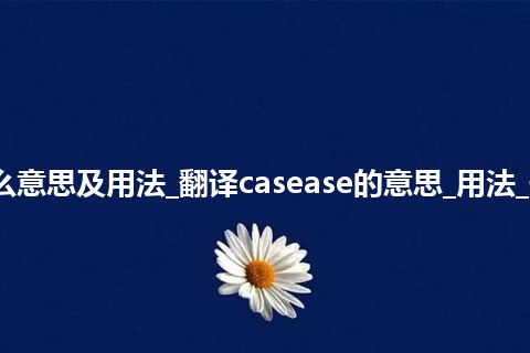 casease是什么意思及用法_翻译casease的意思_用法_例句_英语短语