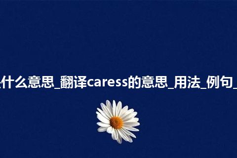 caress是什么意思_翻译caress的意思_用法_例句_英语短语