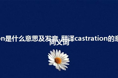 castration是什么意思及发音_翻译castration的意思_用法_同义词