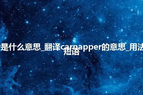 carnapper是什么意思_翻译carnapper的意思_用法_例句_英语短语