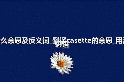 casette是什么意思及反义词_翻译casette的意思_用法_例句_英语短语