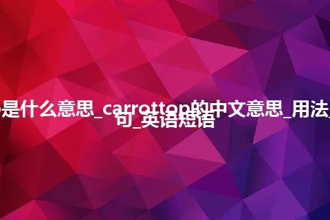 carrottop是什么意思_carrottop的中文意思_用法_同义词_例句_英语短语