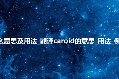 caroid是什么意思及用法_翻译caroid的意思_用法_例句_英语短语