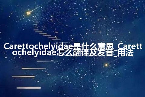 Carettochelyidae是什么意思_Carettochelyidae怎么翻译及发音_用法