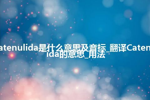 Catenulida是什么意思及音标_翻译Catenulida的意思_用法