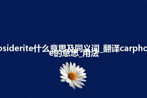 carphosiderite什么意思及同义词_翻译carphosiderite的意思_用法