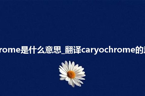 caryochrome是什么意思_翻译caryochrome的意思_用法