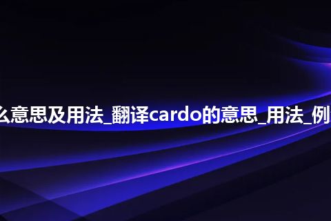 cardo是什么意思及用法_翻译cardo的意思_用法_例句_英语短语