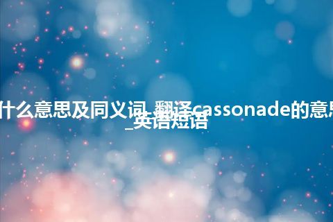 cassonade什么意思及同义词_翻译cassonade的意思_用法_例句_英语短语