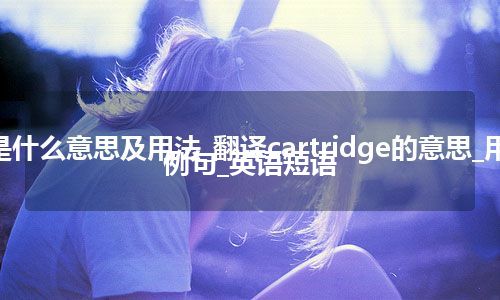 cartridge是什么意思及用法_翻译cartridge的意思_用法_同义词_例句_英语短语