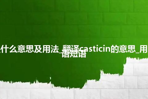 casticin是什么意思及用法_翻译casticin的意思_用法_例句_英语短语