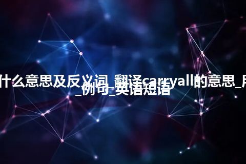 carryall是什么意思及反义词_翻译carryall的意思_用法_同义词_例句_英语短语