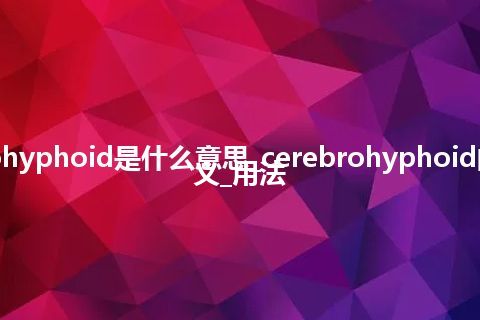 cerebrohyphoid是什么意思_cerebrohyphoid的中文释义_用法