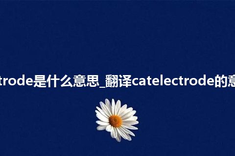 catelectrode是什么意思_翻译catelectrode的意思_用法