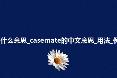 casemate是什么意思_casemate的中文意思_用法_例句_英语短语