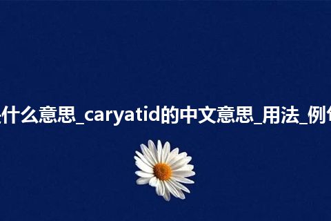 caryatid是什么意思_caryatid的中文意思_用法_例句_英语短语