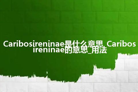 Caribosireninae是什么意思_Caribosireninae的意思_用法