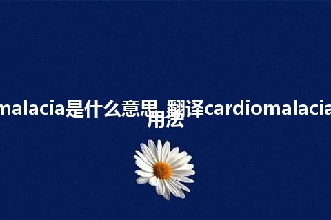 cardiomalacia是什么意思_翻译cardiomalacia的意思_用法