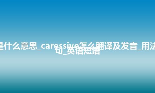 caressive是什么意思_caressive怎么翻译及发音_用法_同义词_例句_英语短语