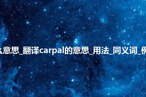 carpal是什么意思_翻译carpal的意思_用法_同义词_例句_英语短语