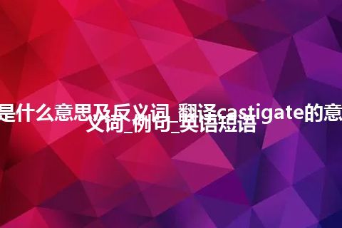 castigate是什么意思及反义词_翻译castigate的意思_用法_同义词_例句_英语短语