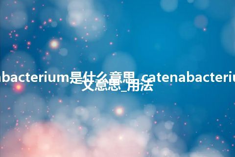 catenabacterium是什么意思_catenabacterium的中文意思_用法