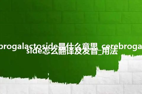 cerebrogalactoside是什么意思_cerebrogalactoside怎么翻译及发音_用法