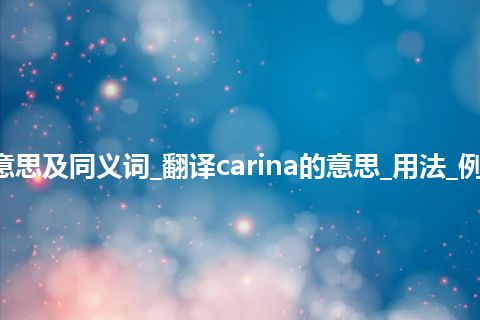 carina什么意思及同义词_翻译carina的意思_用法_例句_英语短语