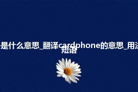 cardphone是什么意思_翻译cardphone的意思_用法_例句_英语短语