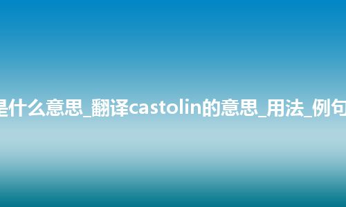 castolin是什么意思_翻译castolin的意思_用法_例句_英语短语