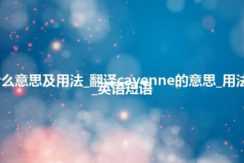 cayenne是什么意思及用法_翻译cayenne的意思_用法_同义词_例句_英语短语